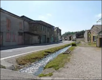 Nous sommes en Lorraine, à Trémont-sur-Saulx (la Saulx qui passe dans le centre du village [image]). Commune de Lorraine, dans l'aire d'attraction Barisienne, elle se situe dans le département ...