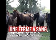 Quiz Les fermes  sang... tu connais ?