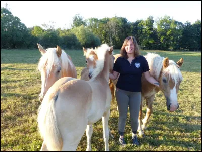 Les juments sont-elles bien traitées ?