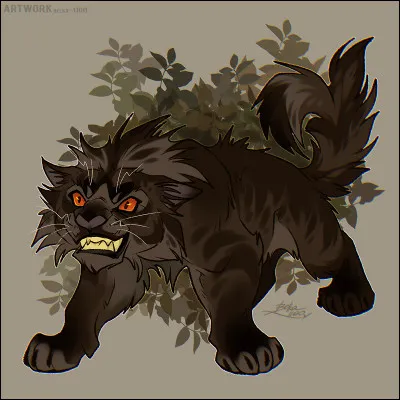 Deuxième !
Ce matou brun foncé au large museau plat s'appelle...