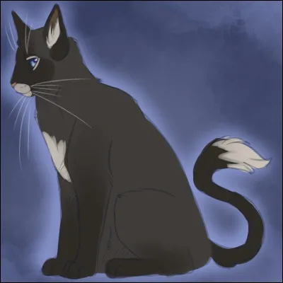 En voici une autre.

Quel est le nom de ce chat gris noir et svelte ?