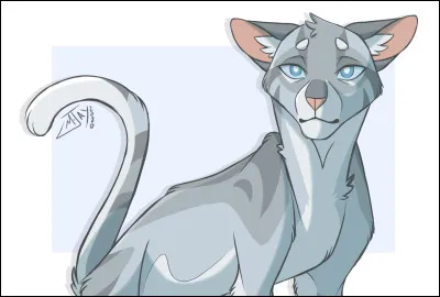 Qui est ce mâle gris tigré ?