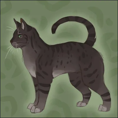 Cette chatte noire aux yeux verts (encore une fois) s'appelle...