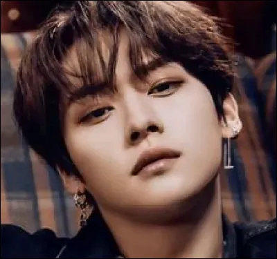 Avant de faire partie de Stray Kids, Lee Know était danseur chez... (1 réponse)