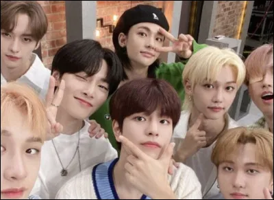 Quel est le MV le plus vu de Stray Kids ? (1 réponse)