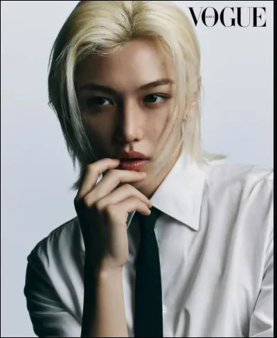 Quel est le nom coréen complet de Félix ? (1 réponse)