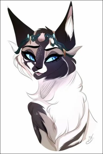 Sache que sur l'image, ce sera toi, okay ? Sur l'image de ton résultat car je ne veux pas gâcher de l'espace à te décrire. Enfin, femelle ou mâle ?