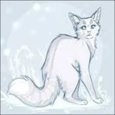 Ressembles-tu à Pelage de Neige ? C'est-à-dire que tu es impulsif, mais pour une raison quelconque, les gens refusent de croire ça.