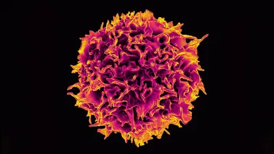 Savez-vous combien de formes de cancer il existe ?