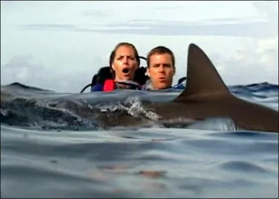 O les deux plongeurs de 'Open Water' se retrouvent-ils abandonns ?