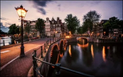 Amsterdam est la capitale des Pays-Bas.