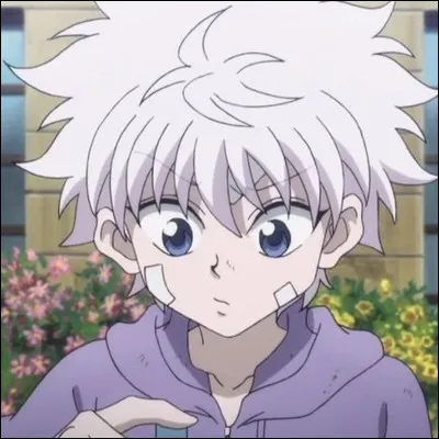 Qui est-ce et dans quel anime ?