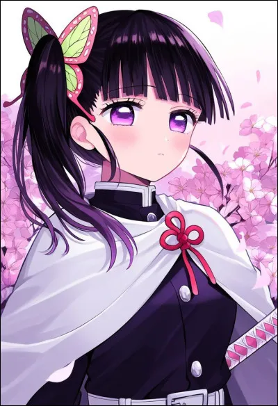 Qui est-ce et dans quel anime ?