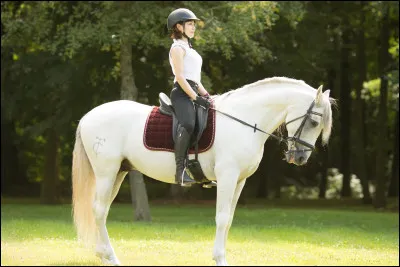 Quelles sont les aides artificielles ?