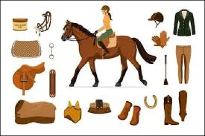 Comment s’appelle l’endroit où est rangé le matériel d’équitation ?