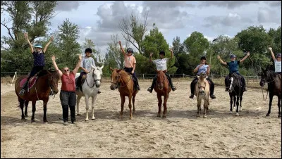 Comment s’appelle le fait que des chevaux/poneys se suivent à la queue leu leu ?