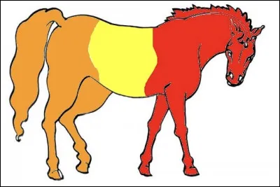 Quelles sont les trois grandes parties du corps du cheval ?