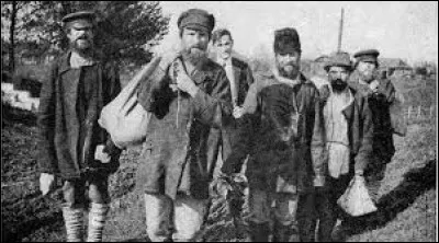 Le mot canicule est emprunté, à la fin du XVe siècle, au latin canicula (« petite chienne »), diminutif de canis. Il signifiait également la période de chaleur pendant laquelle elle se lève et se couche en même temps que le soleil, du 22 juillet au 23 août. De quelle étoile s'agit-il ?