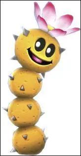 Une sorte de cactus pineux qu'il ne faut pas toucher .