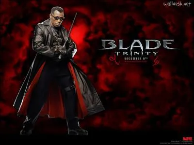 Dans le film ' Blade ' , il est un tre mi-homme, mi-vampire, luttant contre des vampires ennemis qui veulent dominer le monde. Qui est cet acteur ' muscl ' ?