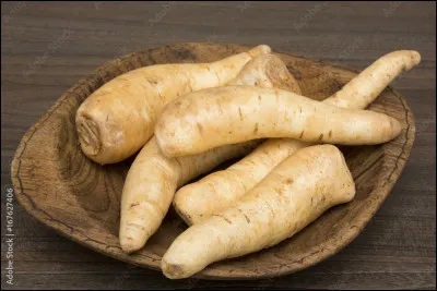 Quel légume-racine développe après cuisson un goût intermédiaire entre le céleri, le chou et la châtaigne ?