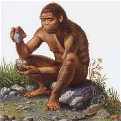 Quel est l'ancêtre de l'homme dont les fossiles ont été découverts dans la vallée du Rift en Afrique ?
