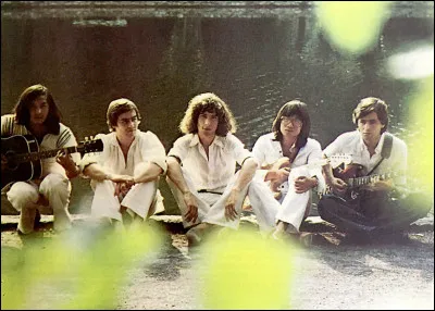 Quel est le nom de ce groupe dont Jean-Jacques Goldman a été membre à ses débuts ?