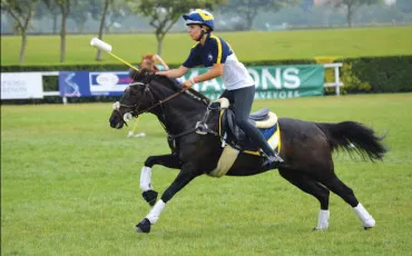 Quiz Equitation