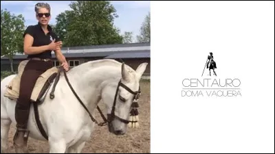 Quelles sont les disciplines de l'équitation de travail ?