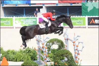 Cochez les disciplines des Jeux mondiaux.