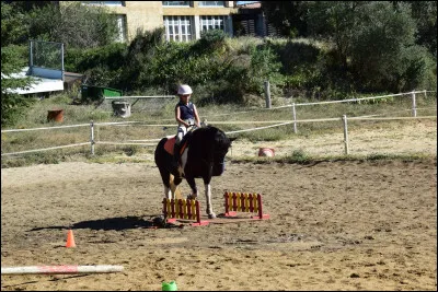 Comment s'appelle cette discipline ?