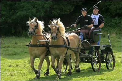 Qu'est-ce que l'attelage ?