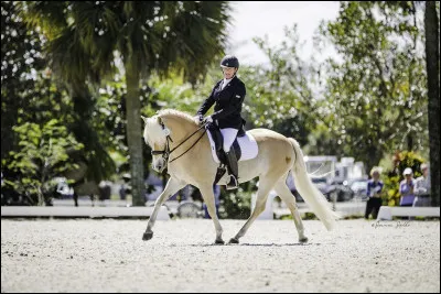 Comment appelle-t-on l'enchaînement de figures de dressage lors d'une compétition ?