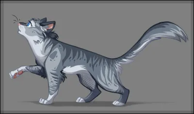 Quelle maladie a Soleil Couchant ?