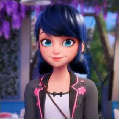 Dans quel dessin animé trouve-t-on le personnage de Marinette Dupain-Cheng ?
