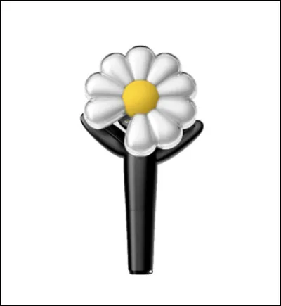 À quel soliste appartient ce lightstick ?