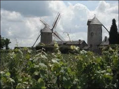Je vous emmène au pied des moulins à vent d'Ardenay, à Chaudefonds-sur-Layon. Commune de l'aire d'attraction Angevine, elle se situe dans le département ...