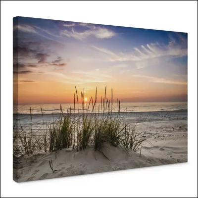 Pourquoi le Soleil va-t-il mourir dans 5 milliards d'années ?