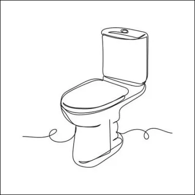 Quelle est la quantité d'eau moyenne utilisée pour une chasse d'eau ?