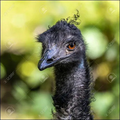 La mairie a réagi face aux plaintes des habitants, qu'ont-ils fait ?