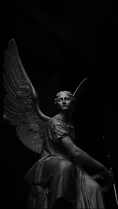 Si tu devais r&eacute;sumer ta philosophie de manipulation en un mot, ce serait...