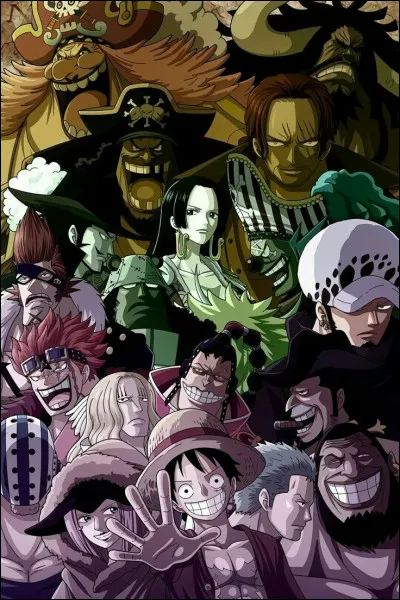 Ce sont des Super Rookies (pirates arrivés à Sabaody en ayant une prime supérieure ou égale à 100.000.000) :