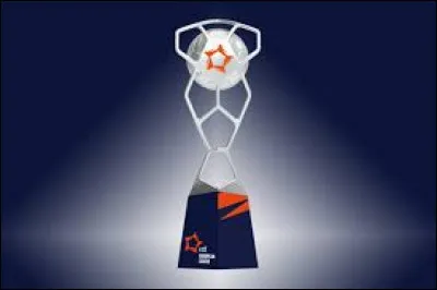 Quel club masculin français de handball a atteint en 2025 la finale de la deuxième compétition européenne ?