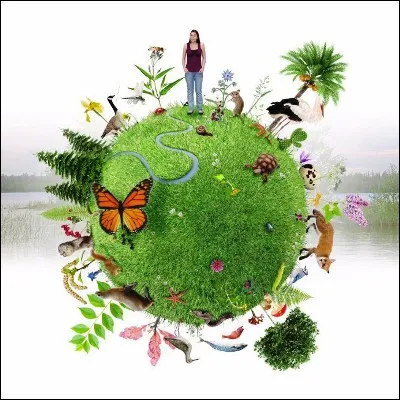 Quelle structure végétale, qui peut être vive ou brise-vent, est recommandée pour ses capacités de protection microclimatique et favorise la biodiversité ?