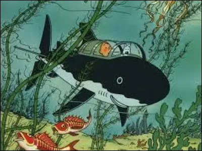 Quel véhicule tombe en panne entre les mains de Tintin ?