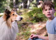 Quiz Les animaux dans les titres