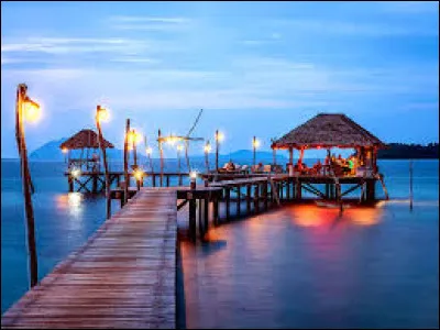 Flora est une Winx spécialisées dans les plantes !