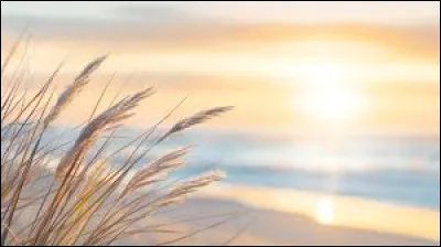 "Sun" se traduit par "nuage" en français !