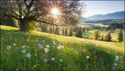 Quelle journée internationale, fêtée le 21 juin, à l'arrivée de l'été, est célébrée chaque année ?