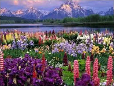 Le professeur Tournesol a une surdité !